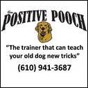 Pooch