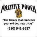 Pooch