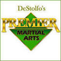 Desto Karate