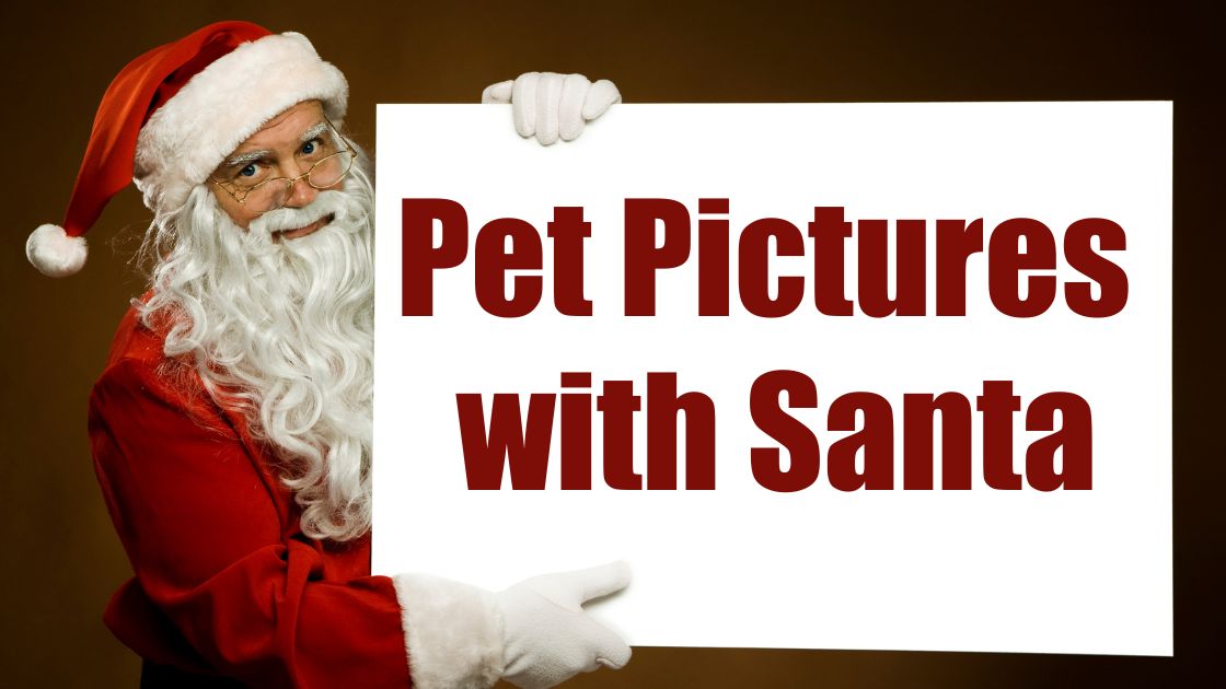 Pet Pictures with Santa at Ruh Ro's Pet Shoppe MoreThanTheCurve